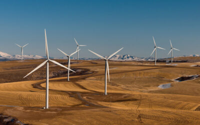 Wind turbines have increased in size and quantity to meet clean energy capacity demands